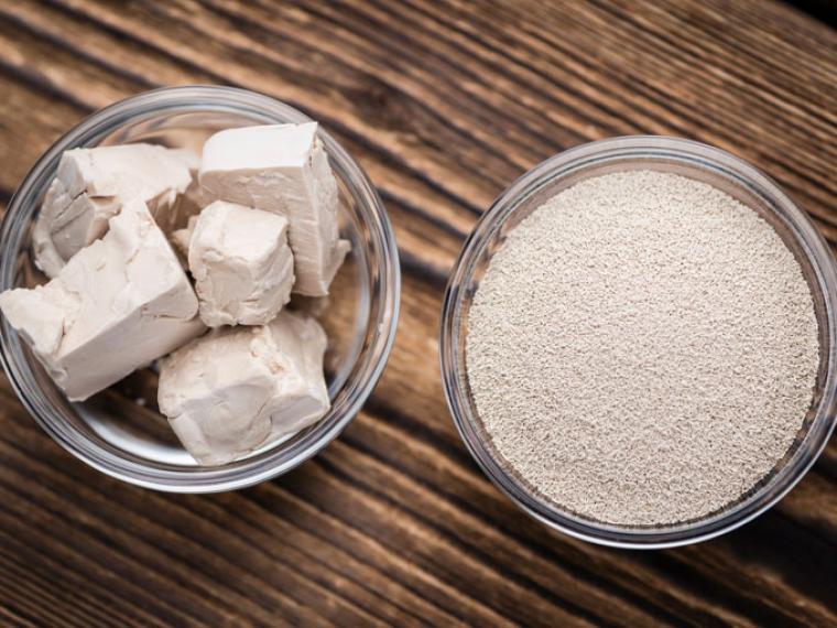 levaduras