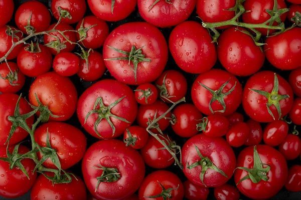 Tomate