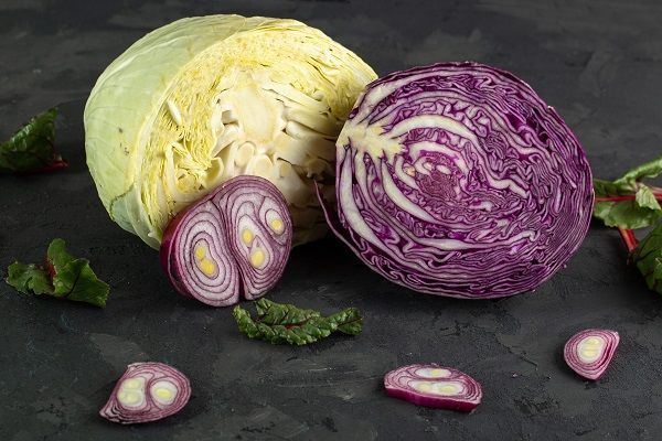Repollo cortarlo
