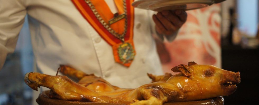 Cochinillo asado de Segovia