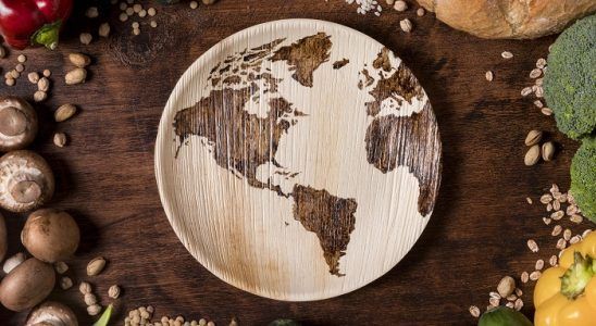 Las mejores comidas del mundo