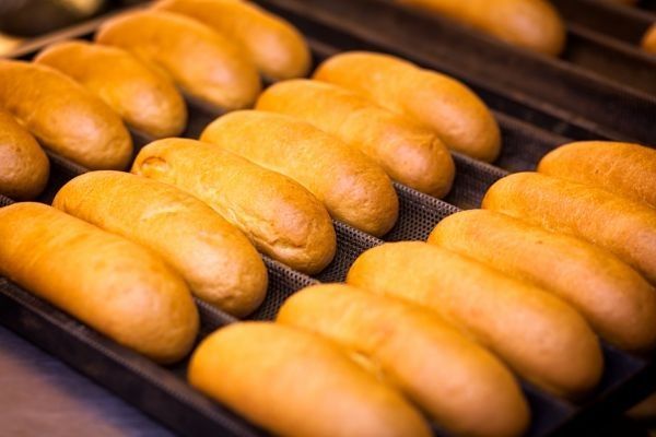 Panecillos de hot dogs tostándose