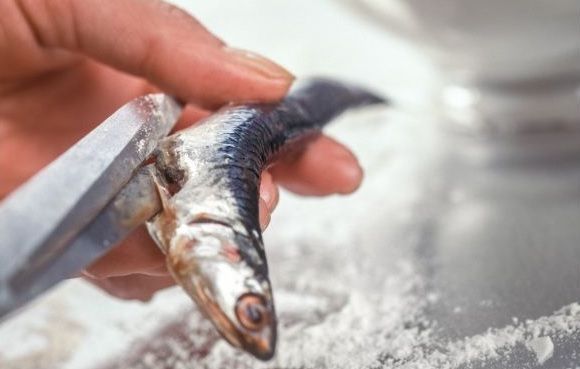 Limpiar las sardinas