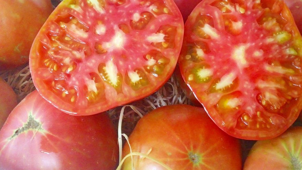 tomate pera