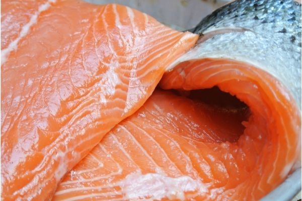 Salmón fresco listo para preparar