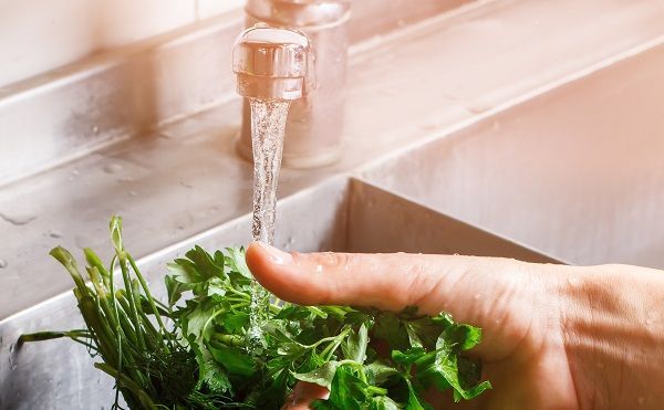 Cilantro lavándose bajo el grifo de la cocina