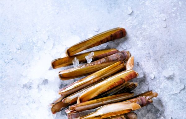 Navajas sobre hielo