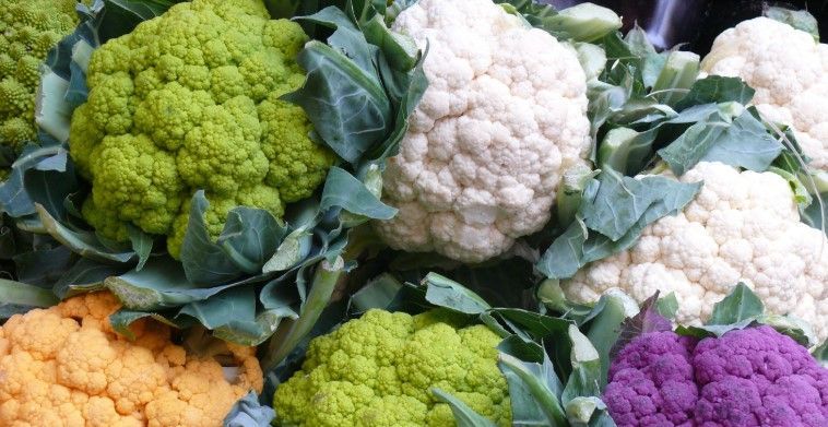 coliflor