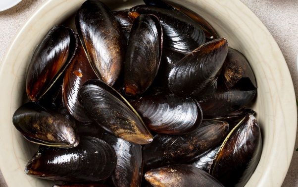 Mejillones limpios en un plato blanco