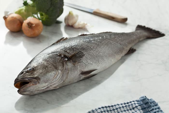 corvina-informacion-recetas