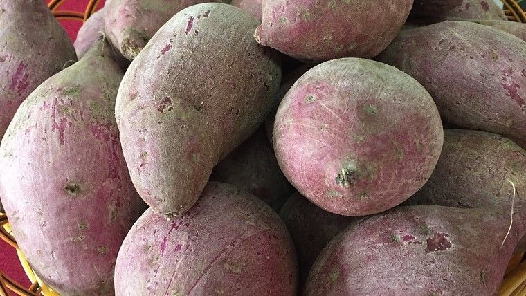 potato-2394773_960_720