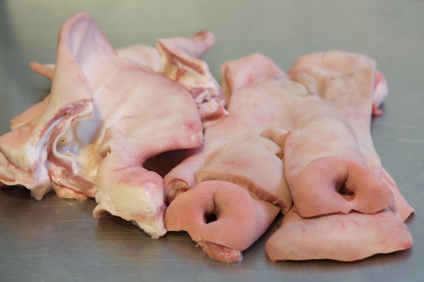 careta-asada-al-horno