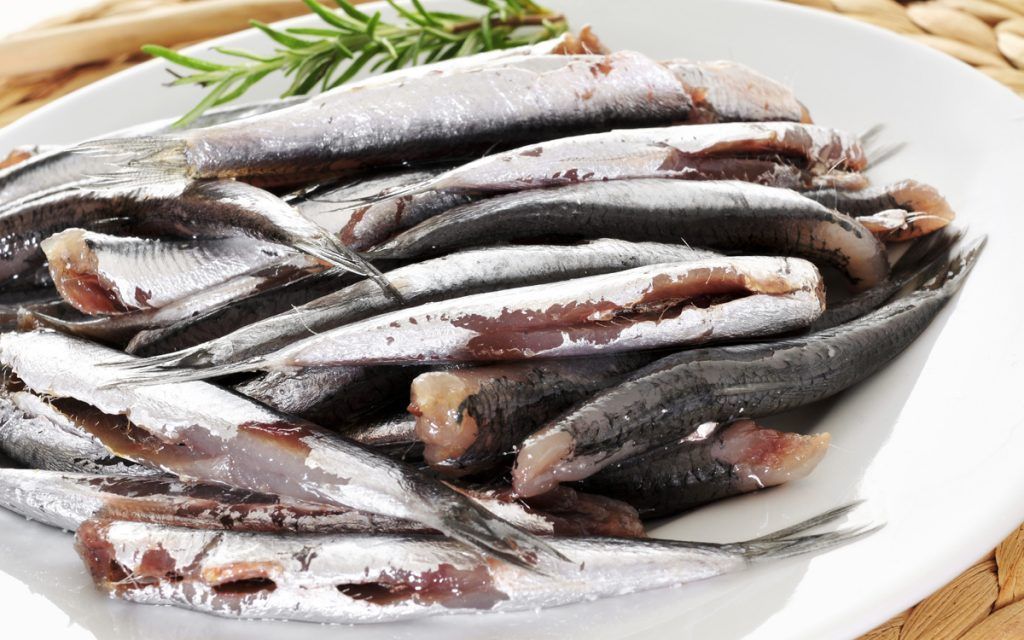 raw spanish boquerones, anchovies typical in Spain