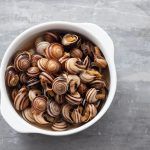 Mejores recetas caracoles del mundo