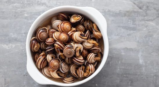 Mejores recetas caracoles del mundo