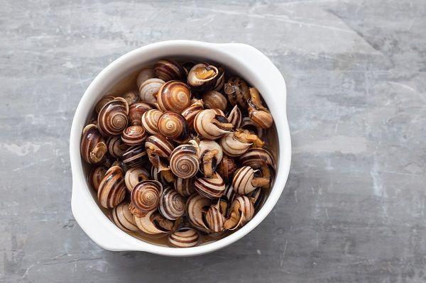 Mejores recetas caracoles del mundo
