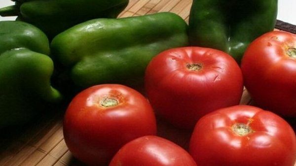pisto-de-tomate-5-edited