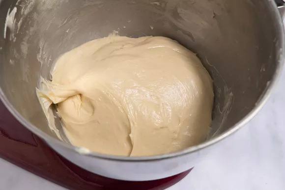 panettone-italian-christmas-cake-from-milan-4052603-Dough-Step-06-327eb9369a7a450f9e54319113f70ae6