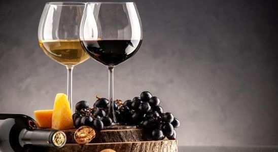 Las mejores vinotecas en Madrid