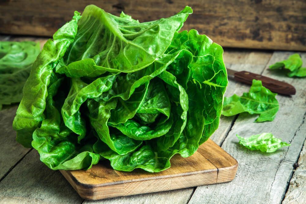 lettuce-1