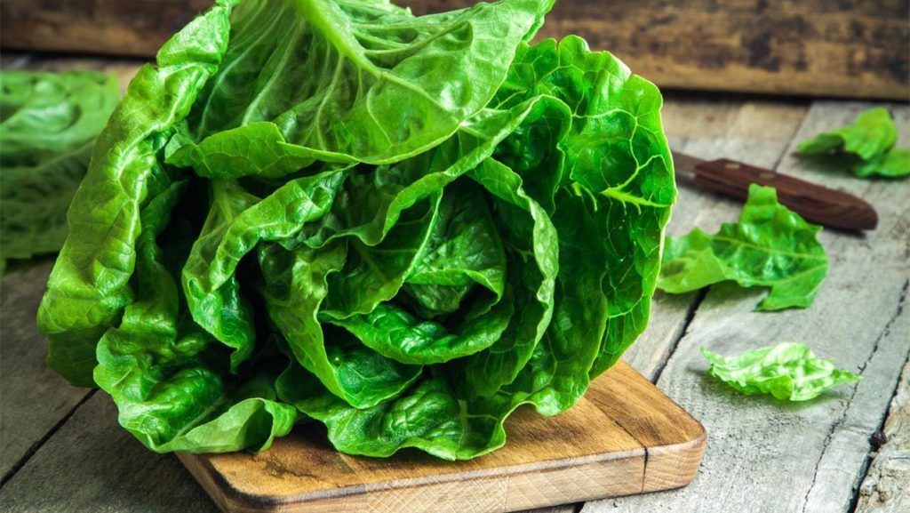 como-conservar-lechuga-fresca-en-la-nevera_large_16x9