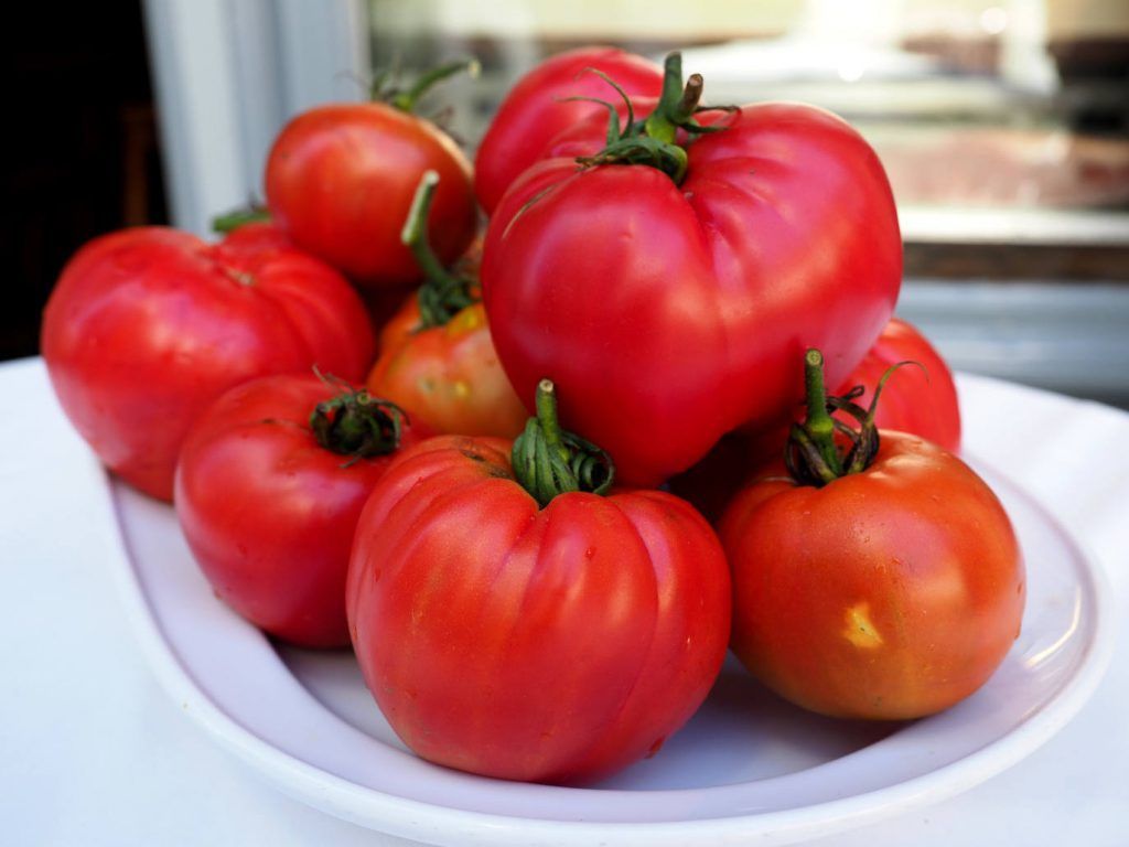 tomates
