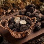 Trufa negra de Teruel