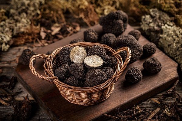 Trufa negra de Teruel
