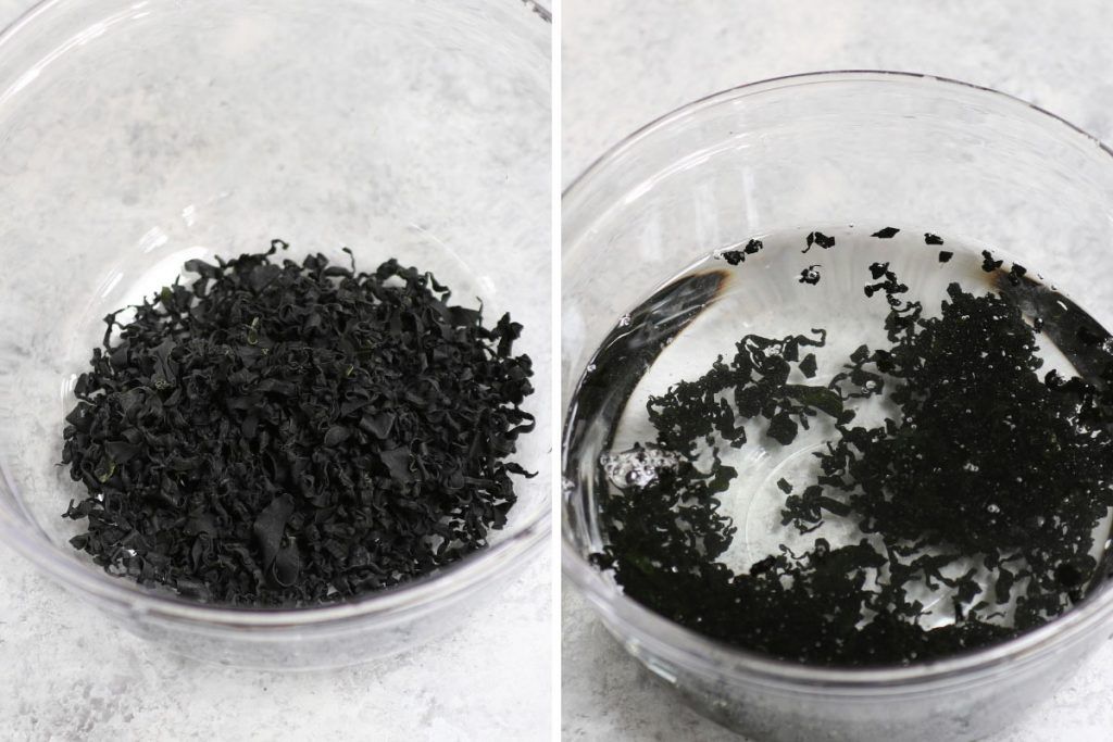 alga