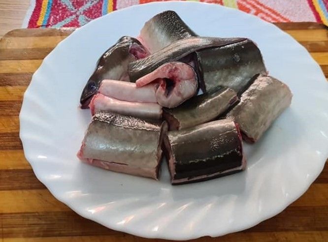anguila