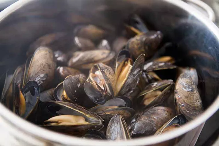 mejillones vapor