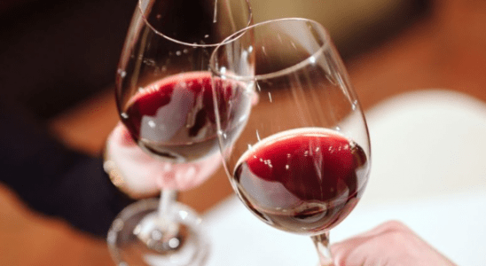 Los mejores vinos con Denominación de Origen