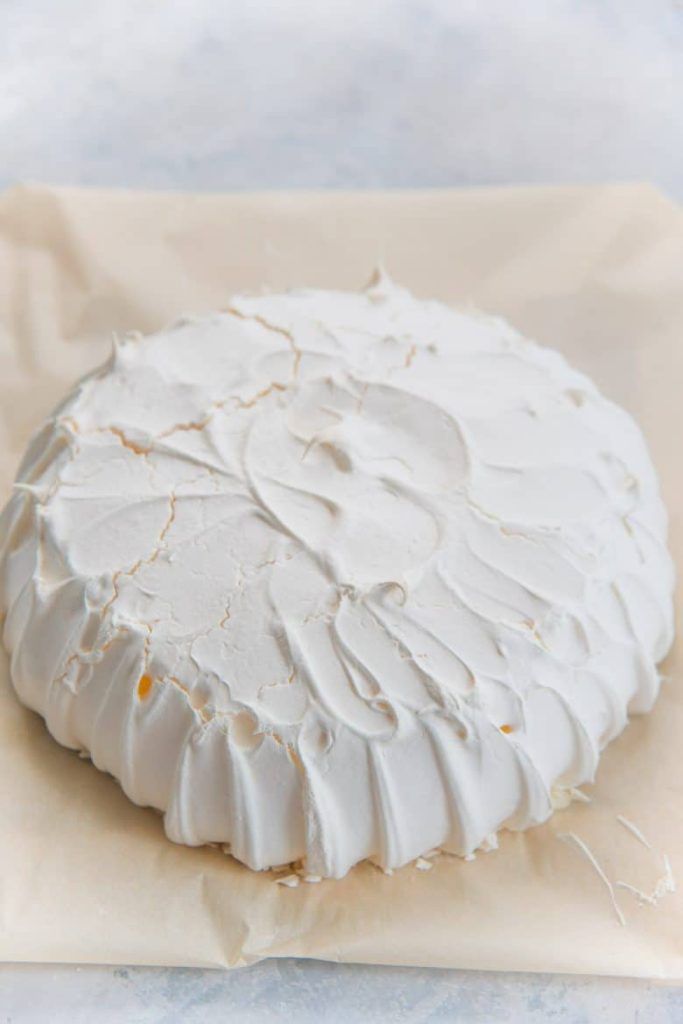 pavlova2