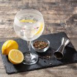 Las mejores ginebras del mundo