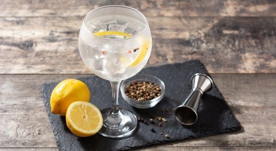 Las mejores ginebras del mundo