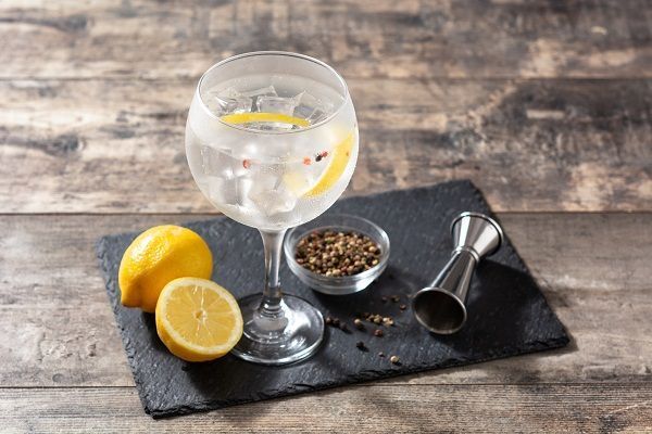 Las mejores ginebras del mundo