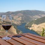 Vinos D.O Ribera del Duero: Por qué tienen tanta fama