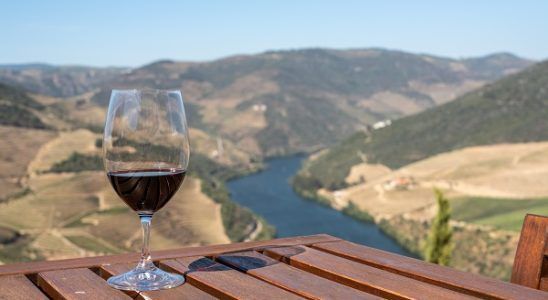 Vinos D.O Ribera del Duero: Por qué tienen tanta fama