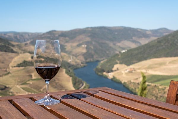 Vinos D.O Ribera del Duero: Por qué tienen tanta fama