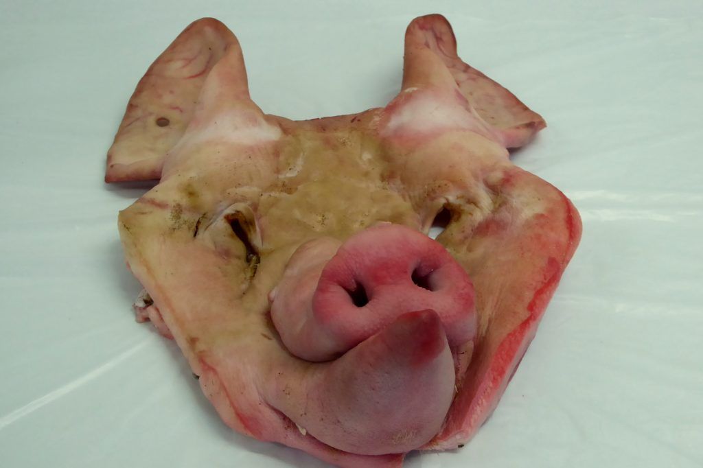 Careta_de_cerdo_sin_hueso