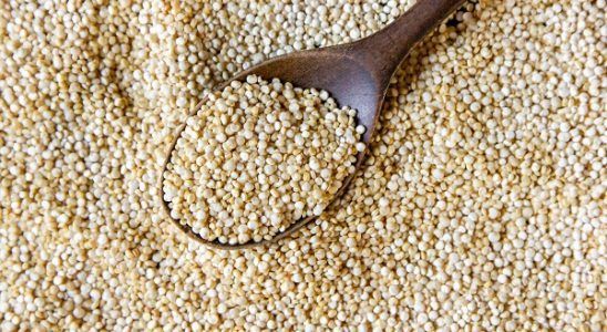 Quinoa, beneficios y propiedades