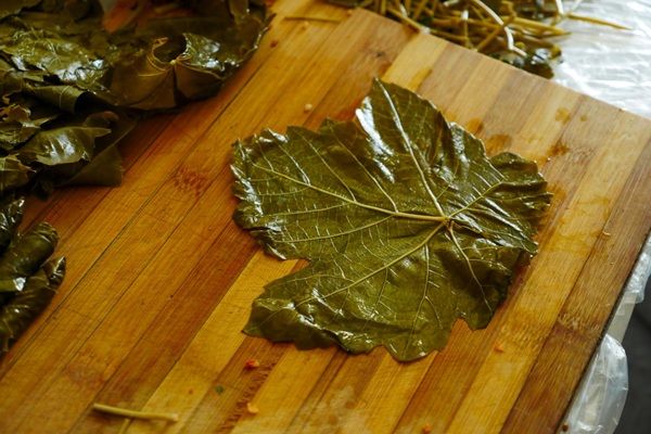 Hoja de parra limpia sobre tabla de madera